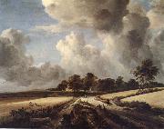 RUISDAEL, Jacob Isaackszon van Wheatfields oil painting picture wholesale